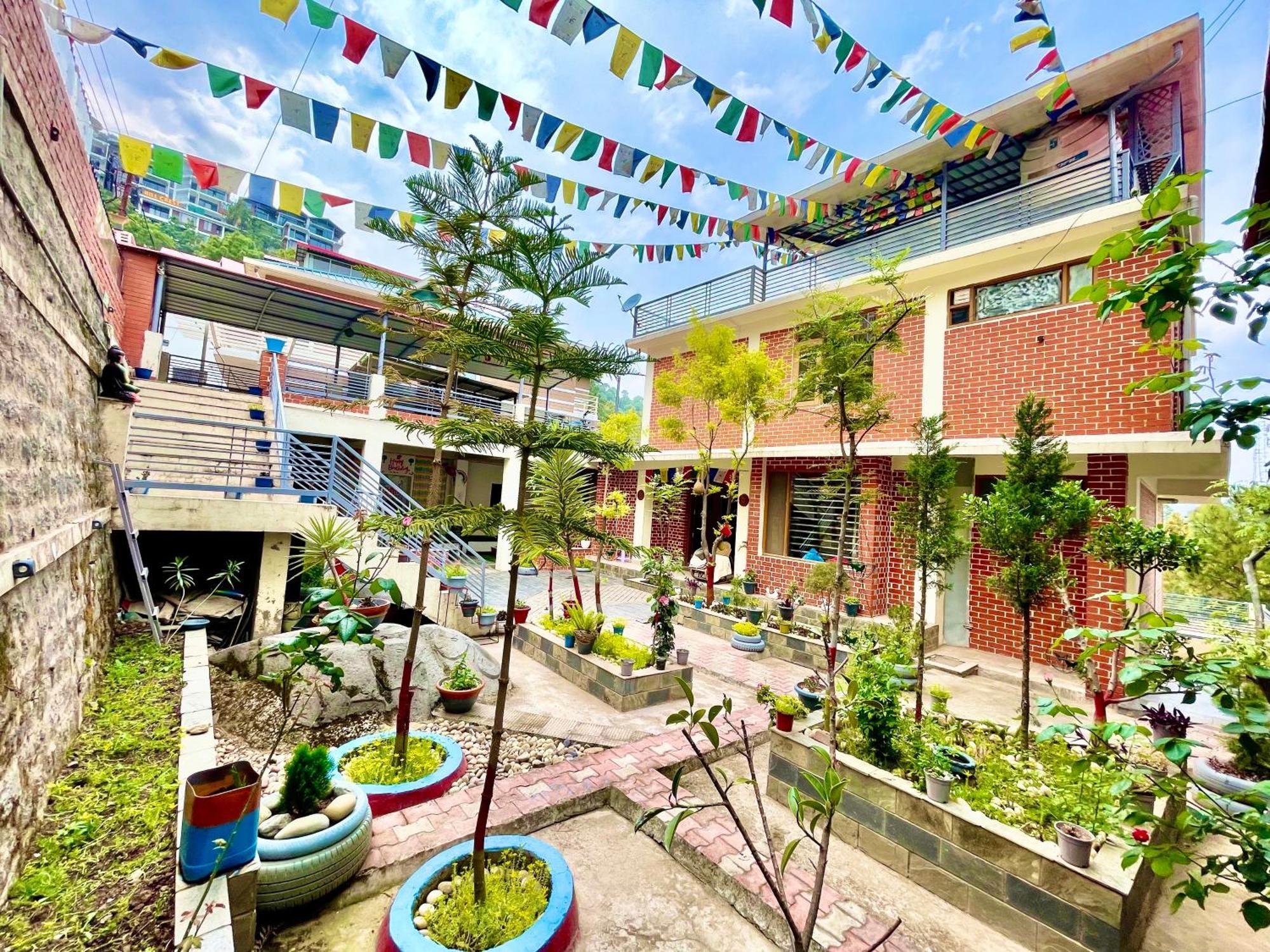 The Auriga 3Bhk Fully Entair Villa With Bonfire In Kasauli I Pvt Stay I Open Air Terrace I Kitchen Livingroom I Lawn Bonfire I Gaming Zone Zewnętrze zdjęcie
